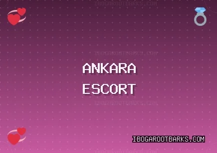 Ankara Escort: Akyurt Escort, Yenimahalle Escort, Kızılcahamam Escort