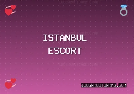 İstanbul Escort: Esenyurt Escort, Pendik Escort, Avcılar Escort
