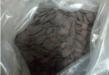 Iboga%20Root%20Barks