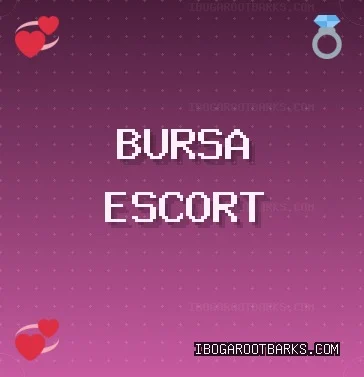 Bursa Escort: Mudanya Escort, Yıldırım Escort, Nilüfer Escort