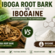 Iboga Root Bark vs Ibogaine: Understanding the Difference